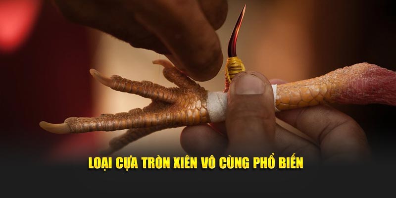 Loại cựa tròn xiên vô cùng phổ biến